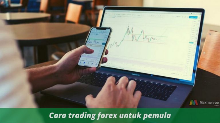 Cara Trading Forex yang Aman untuk Pemula Agar Tidak Bangkrut