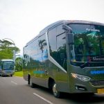 Cara Memilih Bus Pariwisata